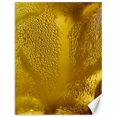 Beer Beverage Glass Yellow Cup Canvas 12  X 16   by Nexatart