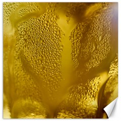 Beer Beverage Glass Yellow Cup Canvas 20  X 20   by Nexatart