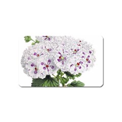 Flower Plant Blossom Bloom Vintage Magnet (name Card) by Nexatart