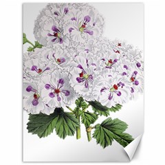 Flower Plant Blossom Bloom Vintage Canvas 36  X 48   by Nexatart