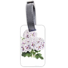 Flower Plant Blossom Bloom Vintage Luggage Tags (two Sides) by Nexatart