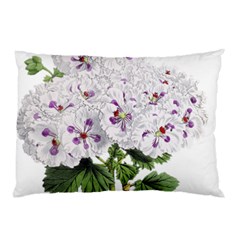 Flower Plant Blossom Bloom Vintage Pillow Case (two Sides) by Nexatart