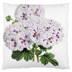 Flower Plant Blossom Bloom Vintage Large Flano Cushion Case (two Sides) by Nexatart