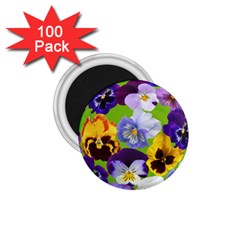 Spring Pansy Blossom Bloom Plant 1 75  Magnets (100 Pack)  by Nexatart