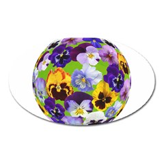 Spring Pansy Blossom Bloom Plant Oval Magnet by Nexatart