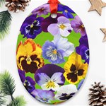 Spring Pansy Blossom Bloom Plant Oval Ornament (Two Sides) Front