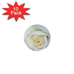 Flower White Rose Lying 1  Mini Buttons (10 Pack)  by Nexatart