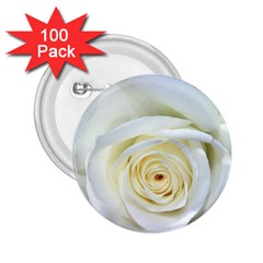 Flower White Rose Lying 2 25  Buttons (100 Pack)  by Nexatart