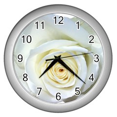 Flower White Rose Lying Wall Clocks (silver)  by Nexatart