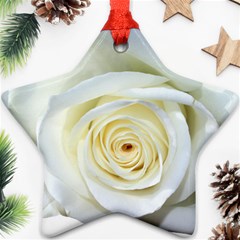 Flower White Rose Lying Star Ornament (two Sides) by Nexatart