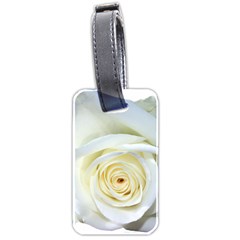 Flower White Rose Lying Luggage Tags (two Sides) by Nexatart