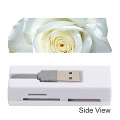 Flower White Rose Lying Memory Card Reader (stick)  by Nexatart