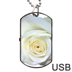 Flower White Rose Lying Dog Tag Usb Flash (two Sides) by Nexatart