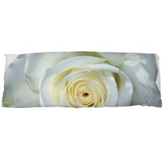 Flower White Rose Lying Body Pillow Case (dakimakura) by Nexatart