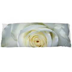 Flower White Rose Lying Body Pillow Case Dakimakura (two Sides) by Nexatart