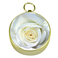 Flower White Rose Lying Gold Compasses by Nexatart