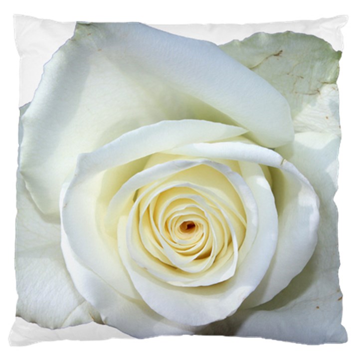 Flower White Rose Lying Standard Flano Cushion Case (Two Sides)