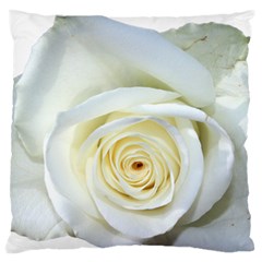 Flower White Rose Lying Large Flano Cushion Case (one Side) by Nexatart