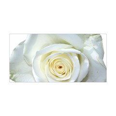 Flower White Rose Lying Yoga Headband by Nexatart