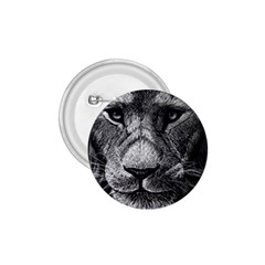 My Lion Sketch 1 75  Buttons