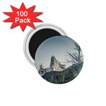 Fitz Roy Mountain, El Chalten Patagonia   Argentina 1.75  Magnets (100 pack)  Front