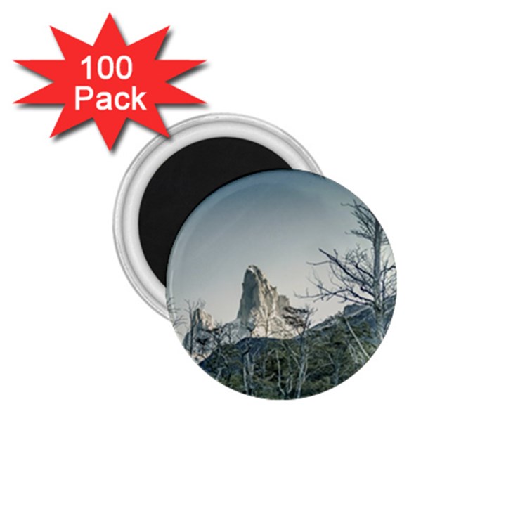 Fitz Roy Mountain, El Chalten Patagonia   Argentina 1.75  Magnets (100 pack) 