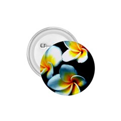 Flowers Black White Bunch Floral 1 75  Buttons by Nexatart