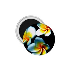 Flowers Black White Bunch Floral 1 75  Magnets by Nexatart