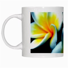 Flowers Black White Bunch Floral White Mugs by Nexatart