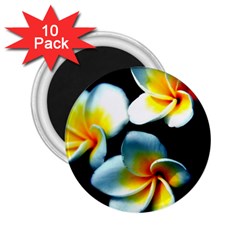 Flowers Black White Bunch Floral 2 25  Magnets (10 Pack)  by Nexatart