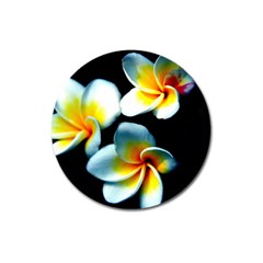 Flowers Black White Bunch Floral Magnet 3  (round) by Nexatart