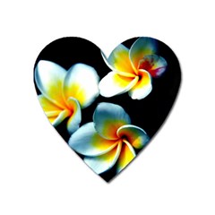 Flowers Black White Bunch Floral Heart Magnet by Nexatart