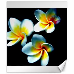 Flowers Black White Bunch Floral Canvas 8  X 10  by Nexatart