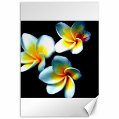 Flowers Black White Bunch Floral Canvas 12  X 18   by Nexatart