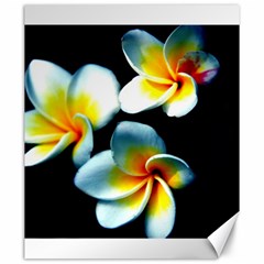 Flowers Black White Bunch Floral Canvas 20  X 24   by Nexatart