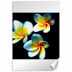 Flowers Black White Bunch Floral Canvas 20  X 30   by Nexatart