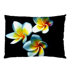 Flowers Black White Bunch Floral Pillow Case