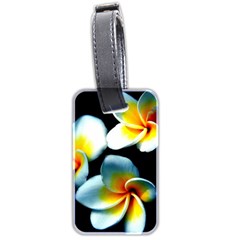 Flowers Black White Bunch Floral Luggage Tags (two Sides) by Nexatart