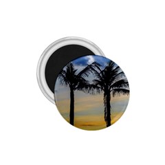 Palm Trees Against Sunset Sky 1 75  Magnets by dflcprints