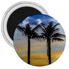 Palm Trees Against Sunset Sky 3  Magnets by dflcprints