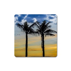 Palm Trees Against Sunset Sky Square Magnet by dflcprints