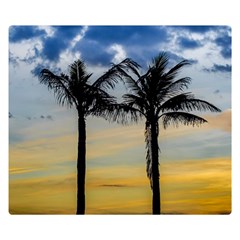 Palm Trees Against Sunset Sky Double Sided Flano Blanket (small)  by dflcprints