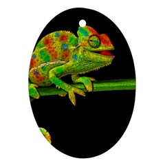 Chameleons Oval Ornament (two Sides) by Valentinaart