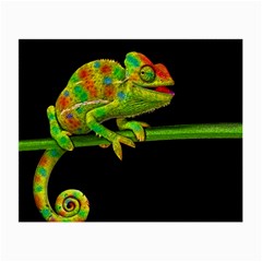 Chameleons Small Glasses Cloth (2-side)