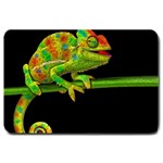 Chameleons Large Doormat  30 x20  Door Mat