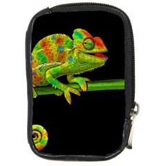 Chameleons Compact Camera Cases by Valentinaart