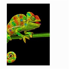 Chameleons Small Garden Flag (two Sides) by Valentinaart