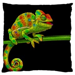 Chameleons Large Cushion Case (one Side) by Valentinaart