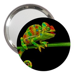 Chameleons 3  Handbag Mirrors by Valentinaart