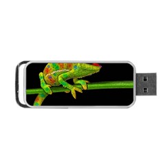 Chameleons Portable Usb Flash (two Sides) by Valentinaart